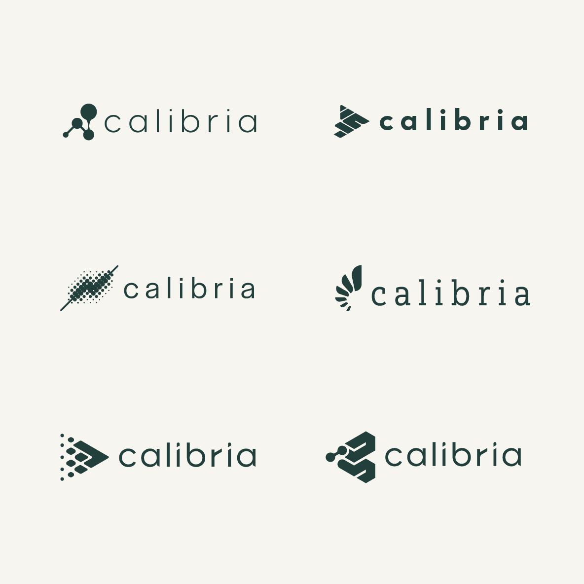 Six explored Calibria logo directions